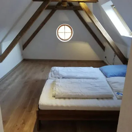 Apartment Ferienwohnung Direkt Am See Im Thueringer Wald Frankenhain