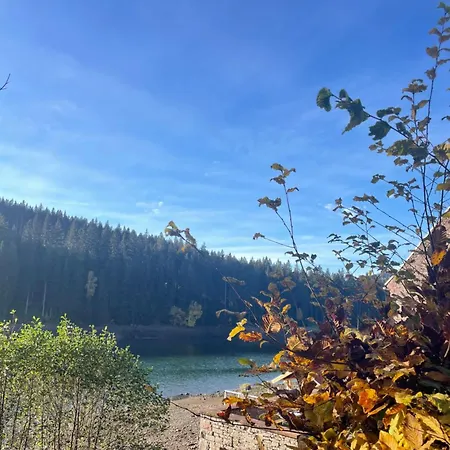 Ferienwohnung Direkt Am See Im Thueringer Wald
