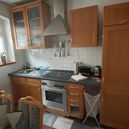 Apartment Ferienwohnung Direkt Am See Im Thueringer Wald Frankenhain