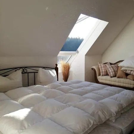 Ferienwohnung Direkt Am See Im Thueringer Wald Apartment