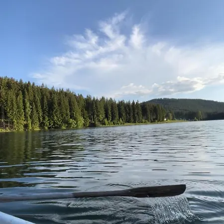 Ferienwohnung Direkt Am See Im Thueringer Wald Frankenhain
