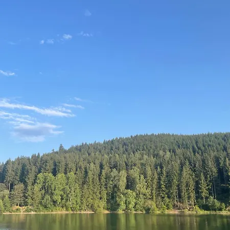 Ferienwohnung Direkt Am See Im Thueringer Wald * Frankenhain