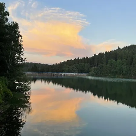 Apartment Ferienwohnung Direkt Am See Im Thueringer Wald