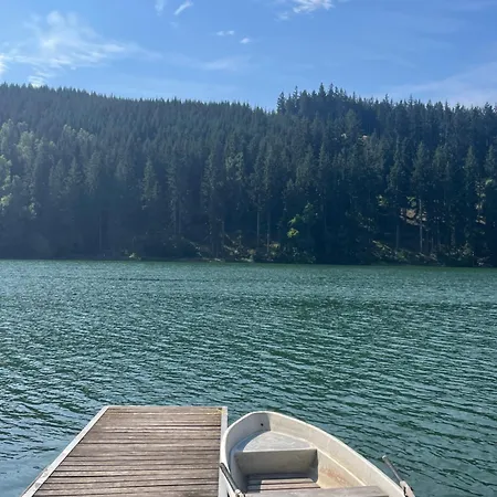Apartment Ferienwohnung Direkt Am See Im Thueringer Wald