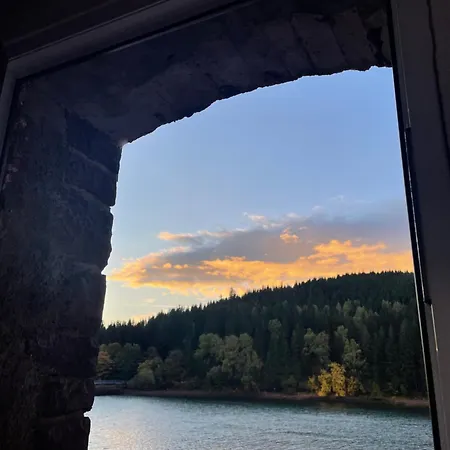 Apartment Ferienwohnung Direkt Am See Im Thueringer Wald Frankenhain